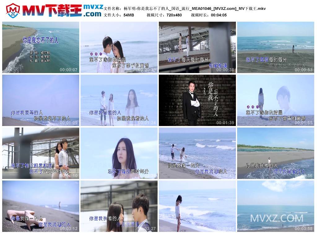 杨军明-你是我忘不了的人_国语_流行_MEA01046
